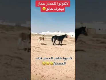 كسر خاطر الحمار قدام الحصان 🤣🤣🤣