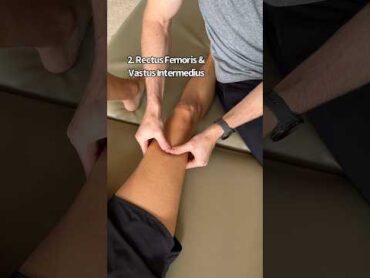 Quadriceps Muscle Mobilization physicaltherapy massage