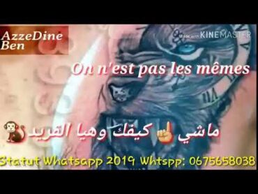 فيديو حشيان الهضرة  ولا اروع
