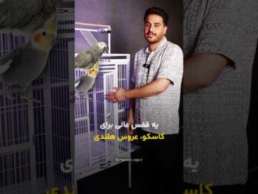 بهترین قفس کاسکو و عروس هلندی؟ببین چرا اینو همه میخرن!😮