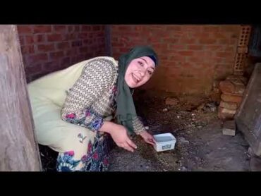 ام هنا و عبده من ريف رقم 7