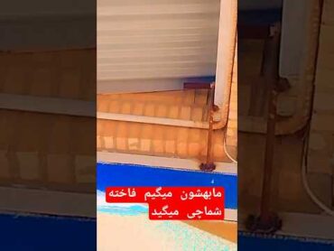 چه خشوکه🤣 love یوتیوب birds حالخوب ایران iran پرندگان