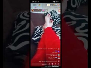 بث الملكة بث مباشر تيك توك