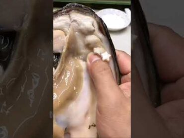 شاهد استخراج اللؤلؤ من محار البحر ستندهش سبحان الله 😍