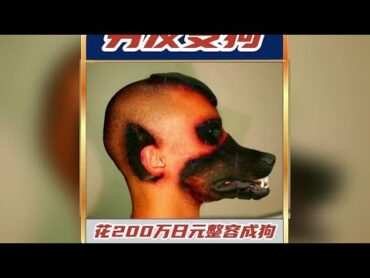 日本男子花200万整容成为女友喜欢的“狗”！整容前后