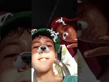 Dxm4