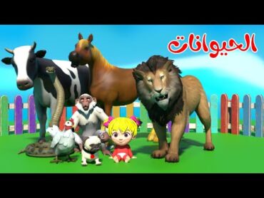 اغنية الحيوانات🥳  اغاني اطفال عالم لولو
