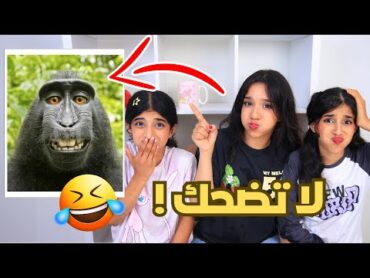 اتحداك ما تضحك بالفيديو هذا !!!  عقاب لخسران شفا