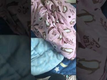 犬にチンチンを見せてみた！