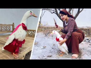 Duck slaughter by a rural girl (Iranian girl) and cooking Fesenjan  villagegirl  villagecooking