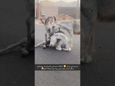٢١ يونيو ٢٠٢٢
