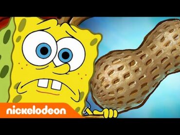 سبونج بوب  سبونج بوب يسبب كارثة محار  Nickelodeon Arabia