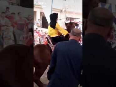حصان يرقص علي مهرجان قلبي دفنته