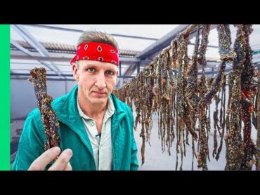 Extreme Muslim Food in Morocco!! I can&39;t believe they allow this!