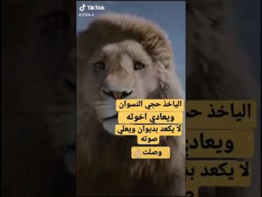 دزوهه 😌👈👉