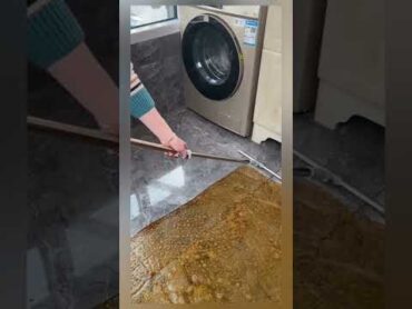 تنظيف البيت عجبتني