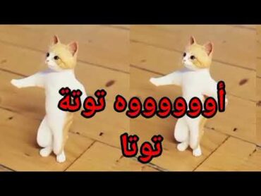 اغنيةباسمتوتةتوتاالحلوةسطلانةالسعوديةالكويتالاماراتقطرمسقطالبحرينالعراقالجزائرتركيا