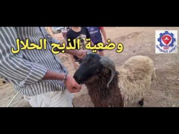 @ الخطأ الشائع لموضع الذبح الحلال.