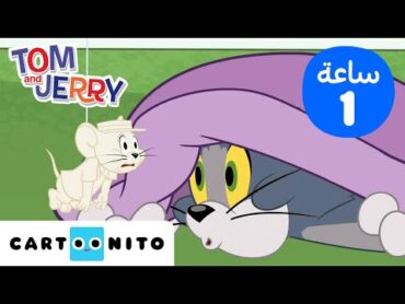 توم وجيري  مغامرات توم وجيري المذهلة!  كارتونيتو