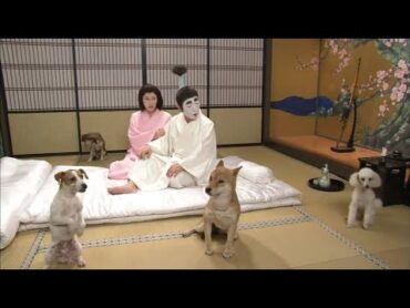 志村けんのバカ殿様 001
