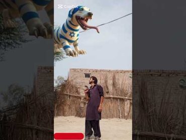 یامنزل القرآن  یا خال  الانسان شکر یارب🕋🤲🫡shortsyoutubeshortstrendingshorts Shorts😭😭😭😭😭😭😭😭😭😭😭😭