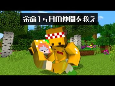 【病気になった友達を救え‼️】マイクラでウイルスに感染したここなっちゃんを救うためにドラゴンと戦い薬をゲットしよう✨感動するストーリー✨【まいくら minecraft】ぽっぴんず
