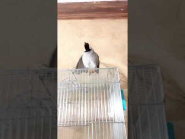 تغريد نار 🥰