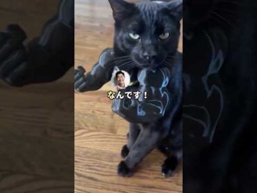 【怖い話】ベランダから異音が聞こえて…