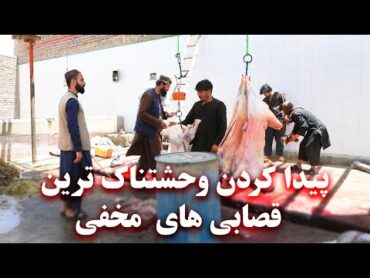 Control of secret butcheries  کنترول قصابی های مخفی