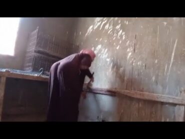 روتين فوفا فاخر من الاخر 🔥🔥 روتين فوفا