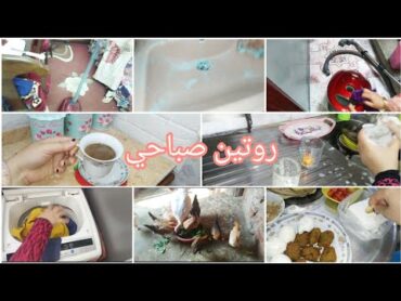 روتين صباحي علي السطوح وفى شقتي وكلي نشاط🌸أنا مش خرابة بيوت🤦حسبي الله ونعم الوكيل