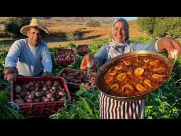 اعداد طبق البايلا بنكهة جبلية و حصاد البطاطس من الحقل