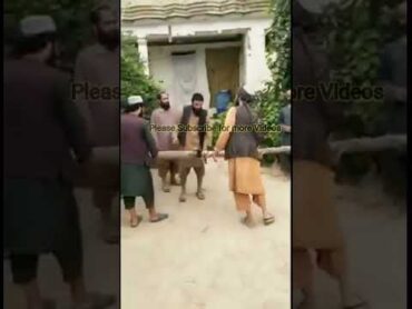 Afghan Taliban short
