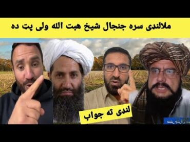 ملالنډی سره جنجال شیخ هبت الله ولی پټ ده😢