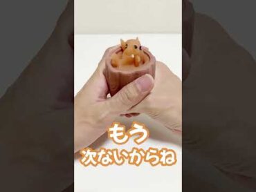 リスをイジメるとこうなるshorts