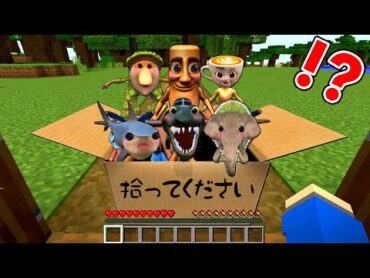 捨てられたイタリアンブレインロットの赤ちゃんを育てるマインクラフト👶🏻🍼【マイクラ】ぽっぴんず