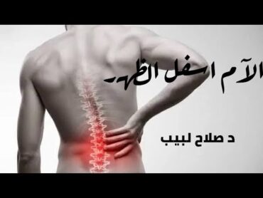 الام اسفل الظهر  الوقاية العلاج مع د صلاح لبيب