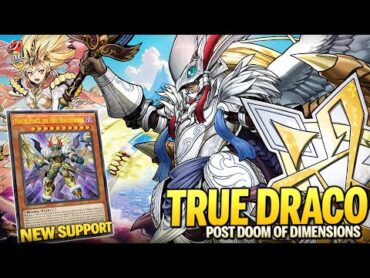 Deck True Draco Post Doom of Dimensions MDPRO3 Replays 🎮 + Decklist ✔️