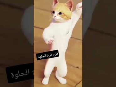 طلب خاص والأكثر فرح فرح الحلوة funny viral wow ترند جوجو يوتيوب shorts