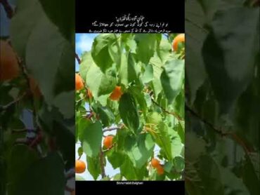 تو تم اپنے رب کی کون کون سی نعمتوں کو جھٹلاؤ گے؟ surahrahman dosubscribeourchannel