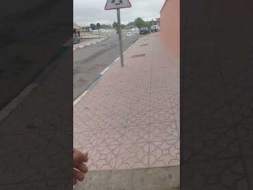 بنتي مشات تقرا