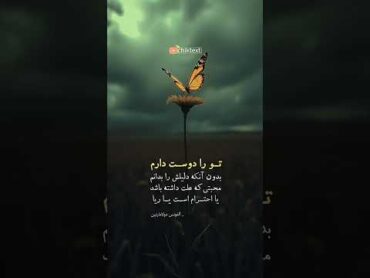 تو را دوست دارم جمله عشق