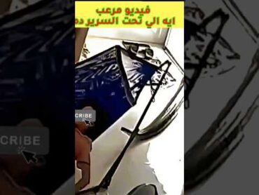 تعبان ضخم تحت السرير 😱 اكسبلور trending ترند trendingshorts أخبار مصر horror