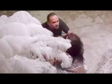 فيديو هدير عبد الرازق مع جوزها .. ازاي كده