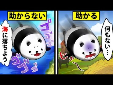 【アニメ】高度1万mの高さから落ちても助かる方法とは？