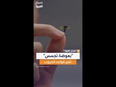 روبوت تجسس متناهي الصغر بحجم "بعوضة" يدخل عالم "الحشرات الذكية" ويثير مخاوف المراقبة الخفية