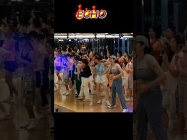 이 구역 센언니들 ECHO 접수완료! 다이어트댄스 댄핏 에코 스우파3 호시x우지