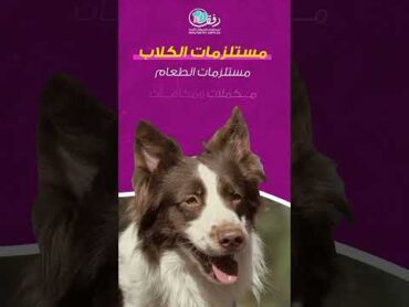 رفق لمستلزمات الحيوانات الاليفة