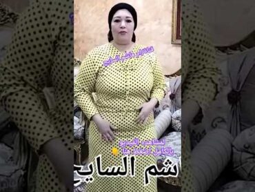 روتين مصري/ام هاشم السايح بنت البلد