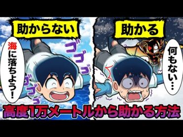 【アニメ】高度1万mの高さから落ちても助かる方法とは？